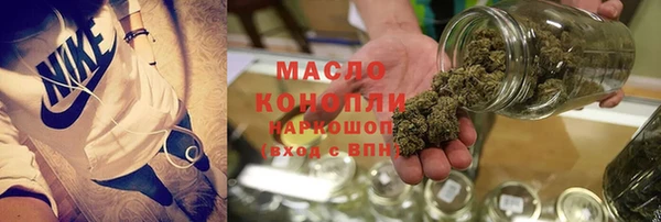 индика Нея