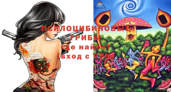 дурь Надым