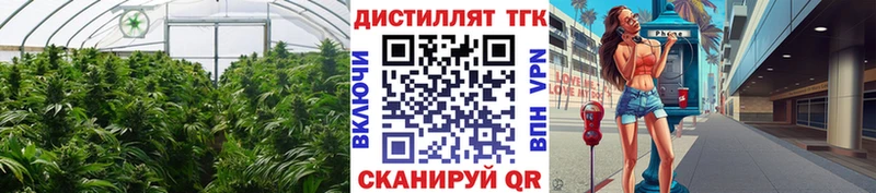 Дистиллят ТГК вейп с тгк Омутнинск